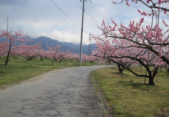 春日居町駅