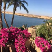 お部屋のバルコニーからの眺めです