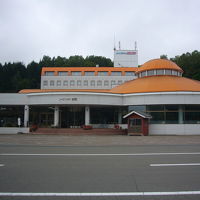 手前に桜岡湖が