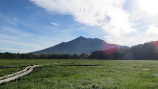 尾瀬の見どころ！