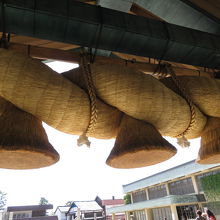 コレが見たくて、アップで