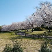 よく整備された綺麗な公園