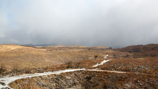 高い展望台から秋吉台の遠くまでが眺められる。