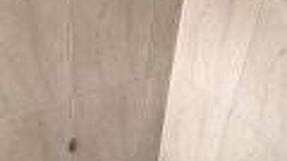 ローズデール オン ロブソン スイート ホテル