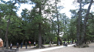 歩いてはいませんが