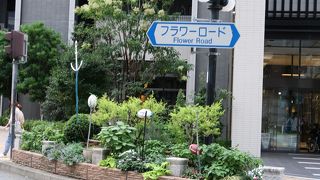 ラグビーワールドカップ