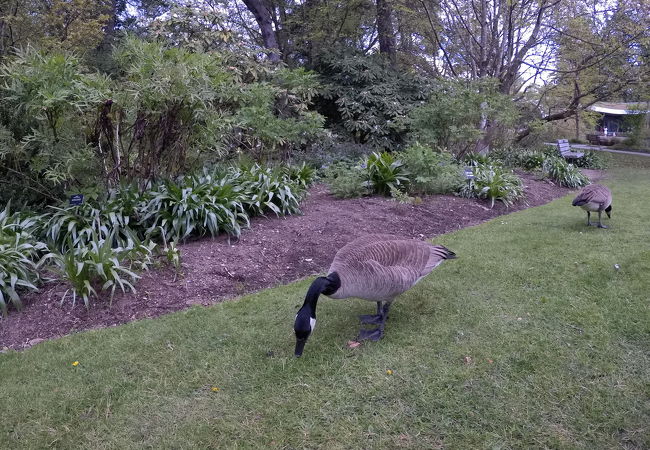 広い広い植物園