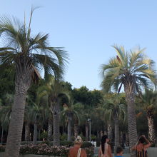 この公園の様子