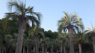 マラガ港沿いにある長細い公園