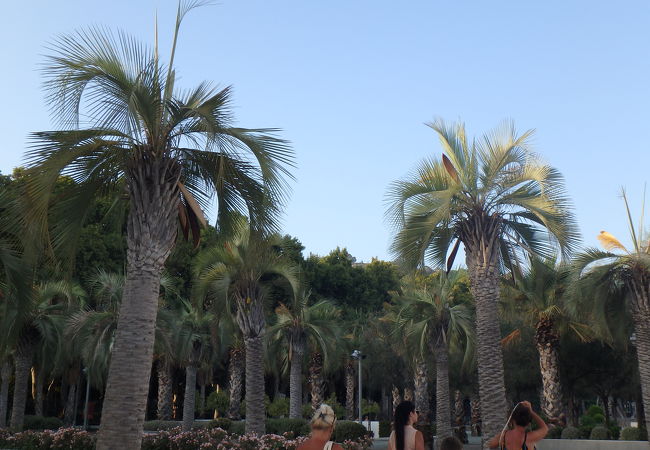 マラガ港沿いにある長細い公園