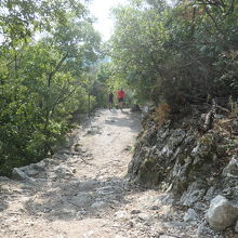 足元の良くない小路が続いていました