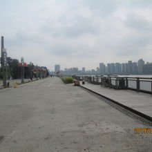 下流の楊浦大橋まで。