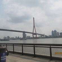 楊浦大橋