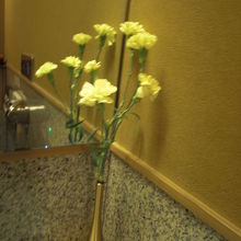 トイレのお花が嬉しい