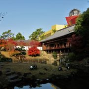 小倉城庭園の一部は無料の遊歩道があり、紅葉が楽しめました。