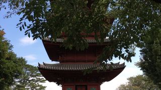 境内で最大の見ものでした