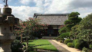 絨毯のような芝生