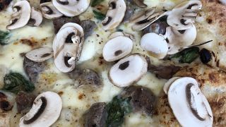 植物園の緑を眺めながら