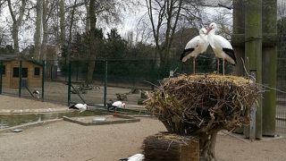 オランジュリ公園