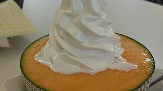 観光客向けスポット