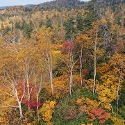 10月1日現在の紅葉（2019年）