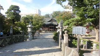 縁結びの松がパワースポットとして人気