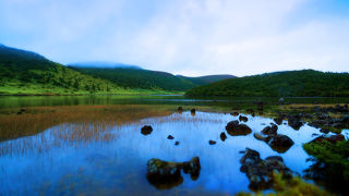 まるで極楽浄土に迷い込んだような心象風景が広がる