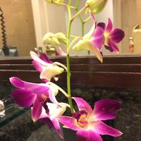 暖かい国は蘭をよく飾ってますね。なんかうれしい。