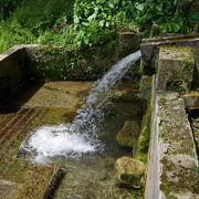日本最南端にある名水百選に選定された湧水