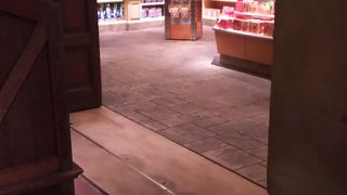 ディズニーシーの外