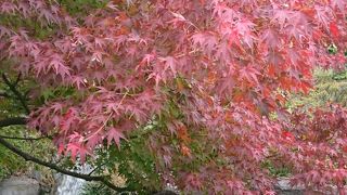 小ぢんまりとしてて周りやすい