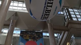 2019年ラクビ―ワールドカップ開催中でより応援