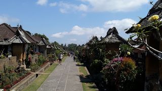 プングリプラン