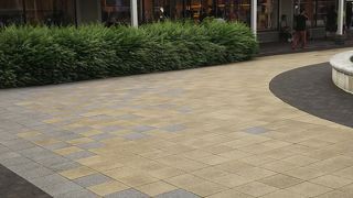 色使いが若いな