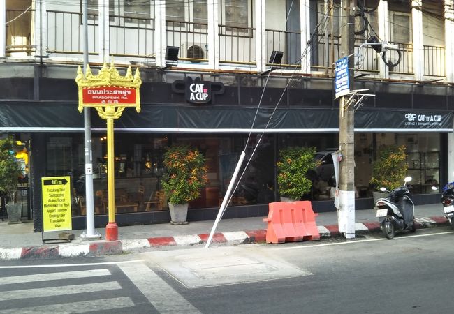 タイで人生初の猫カフェ。割と居心地の良い店である。