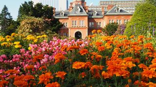 時間あったので寄りましたが、とても良かったです