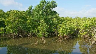 干潮がおすすめ