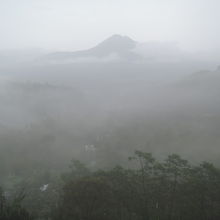 雨で墨絵の世界