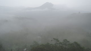 雨で墨絵の世界でした