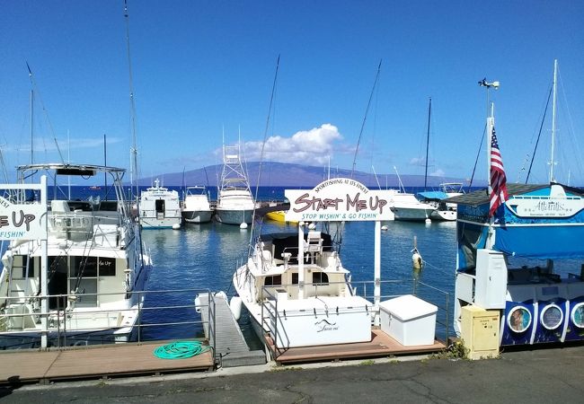 マウイ島の玄関口の港、「ホエールウォッチング」のクルーズ船の出発港で有名な綺麗な港です!!