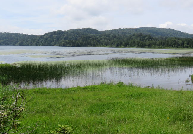 静かな湖のほとりで！