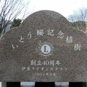 松川湖畔の河津桜