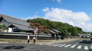 せっかくですから