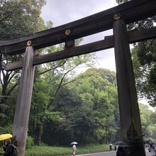 日が差してきました