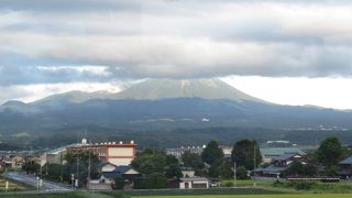 わずかな間姿を見せてくれました