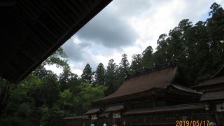 八咫烏がシンボルです