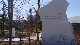 開放的でカーブのある建築が美しい