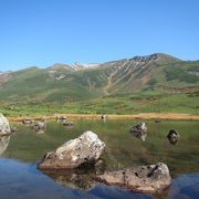 沼の平から眺める池塘の背景に雄大な裾野を引く山並み