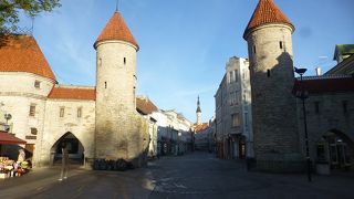 早朝散歩、オススメです！