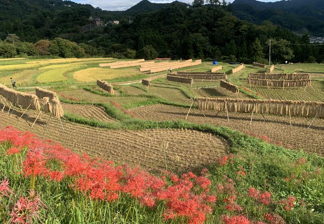 寺坂棚田 クチコミ アクセス 営業時間 秩父 フォートラベル